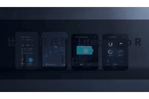 比特派冷钱包 Litecoin to Ripple