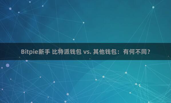 Bitpie新手 比特派钱包 vs. 其他钱包：有何不同？