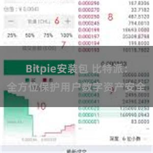 Bitpie安装包 比特派：全方位保护用户数字资产安全