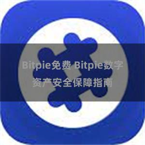 Bitpie免费 Bitpie数字资产安全保障指南