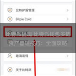 比特派提现 比特派钱包多链资产管理技巧：全面攻略