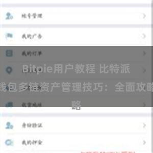 Bitpie用户教程 比特派钱包多链资产管理技巧：全面攻略