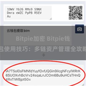 Bitpie加密 Bitpie钱包使用技巧：多链资产管理全攻略