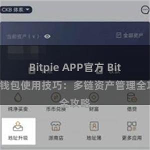 Bitpie APP官方 Bitpie钱包使用技巧：多链资产管理全攻略