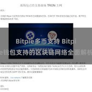 Bitpie多币支持 Bitpie钱包支持的区块链网络全面解析