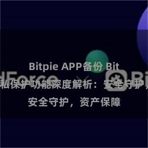 Bitpie APP备份 Bitpie钱包隐私保护功能深度解析：安全守护，资产保障