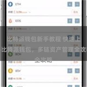 比特派钱包新手教程 快速上手比特派钱包，多链资产管理全攻略