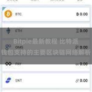 Bitpie最新教程 比特派钱包支持的主要区块链网络解析