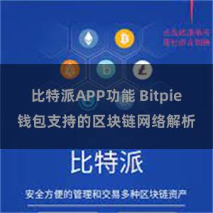 比特派APP功能 Bitpie钱包支持的区块链网络解析