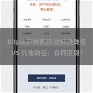 Bitpie在线客服 比特派钱包 VS 其他钱包：有何区别？