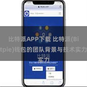 比特派APP下载 比特派(Bitpie)钱包的团队背景与技术实力