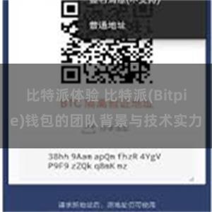 比特派体验 比特派(Bitpie)钱包的团队背景与技术实力