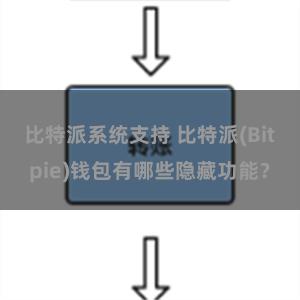 比特派系统支持 比特派(Bitpie)钱包有哪些隐藏功能？