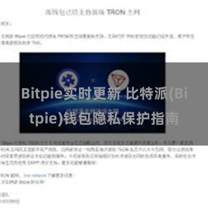 Bitpie实时更新 比特派(Bitpie)钱包隐私保护指南