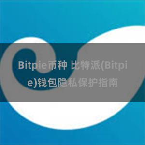 Bitpie币种 比特派(Bitpie)钱包隐私保护指南