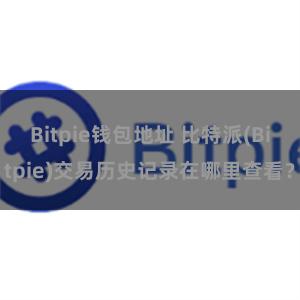 Bitpie钱包地址 比特派(Bitpie)交易历史记录在哪里查看？