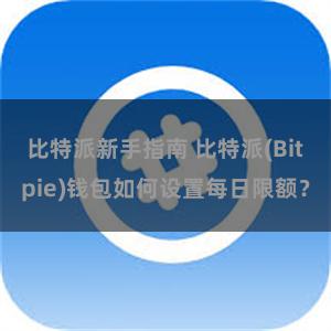 比特派新手指南 比特派(Bitpie)钱包如何设置每日限额？