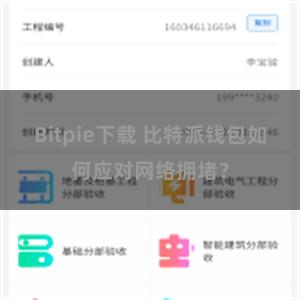 Bitpie下载 比特派钱包如何应对网络拥堵？