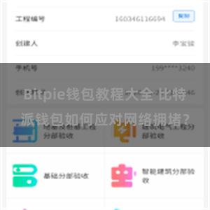 Bitpie钱包教程大全 比特派钱包如何应对网络拥堵？