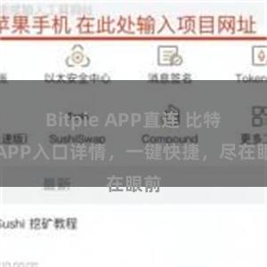 Bitpie APP直连 比特派APP入口详情，一键快捷，尽在眼前
