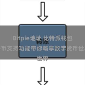 Bitpie地址 比特派钱包多币支持功能带你畅享数字货币世界