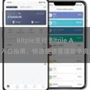Bitpie支付 Bitpie APP入口指南，快速便捷管理数字资产。