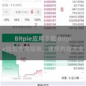 Bitpie应用下载 Bitpie钱包使用指南，详尽教程大全