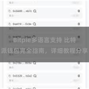 Bitpie多语言支持 比特派钱包完全指南，详细教程分享