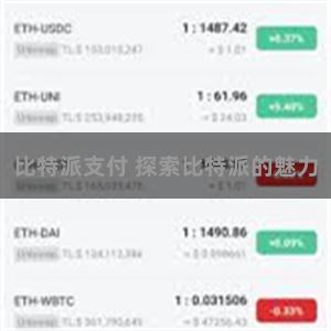 比特派支付 探索比特派的魅力