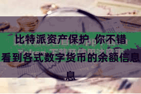 比特派资产保护  你不错看到各式数字货币的余额信息