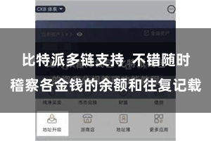 比特派多链支持  不错随时稽察各金钱的余额和往复记载