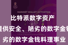 比特派数字资产  为用户提供安全、陋劣的数字金钱料理事业