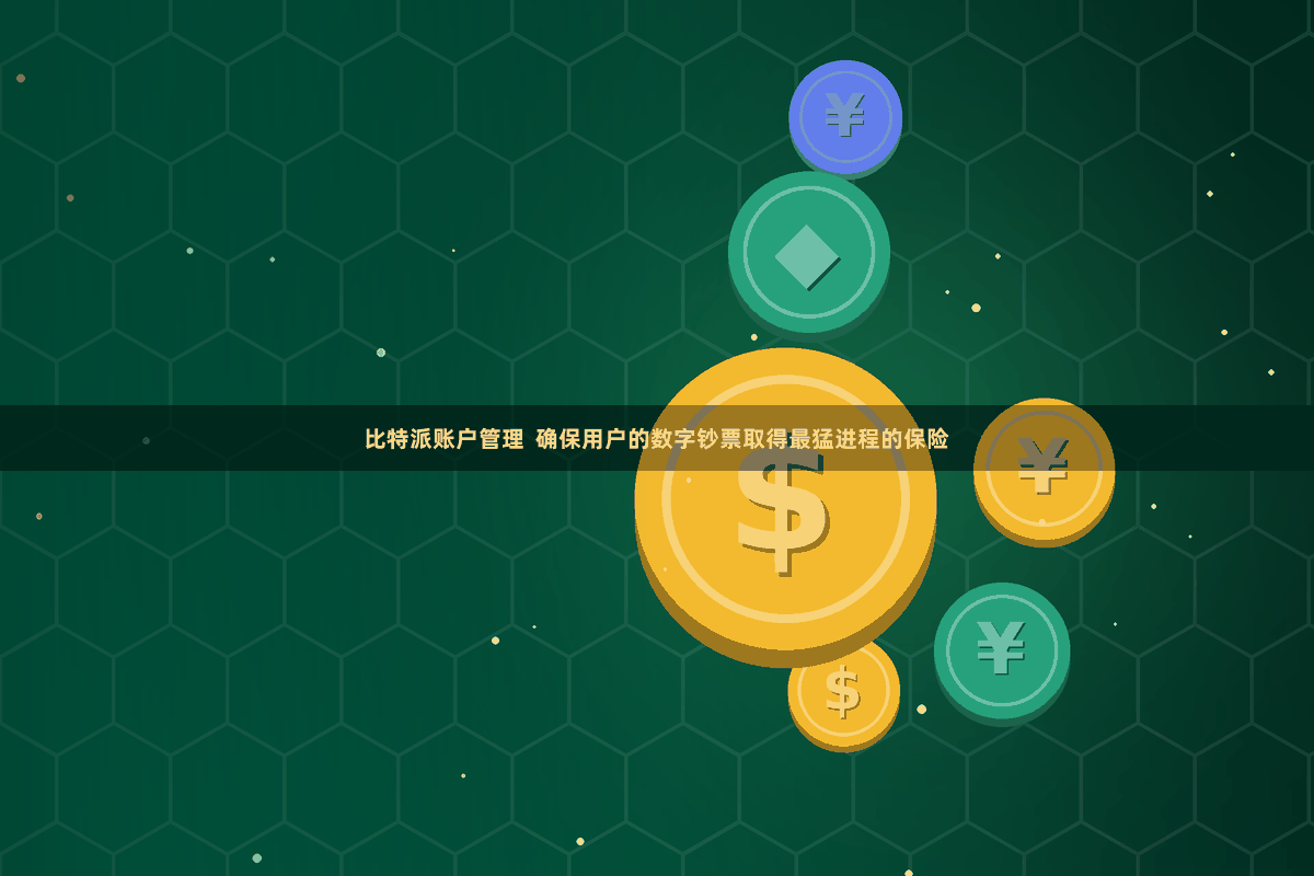 比特派账户管理  确保用户的数字钞票取得最猛进程的保险